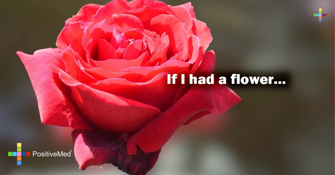 If I had a flower... PositiveMed