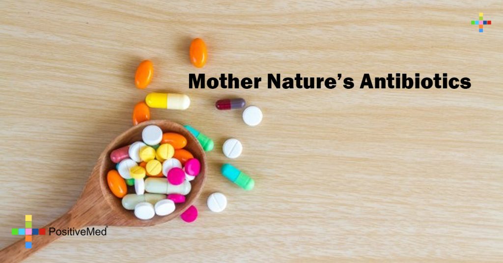 Mother Nature's Antibiotics