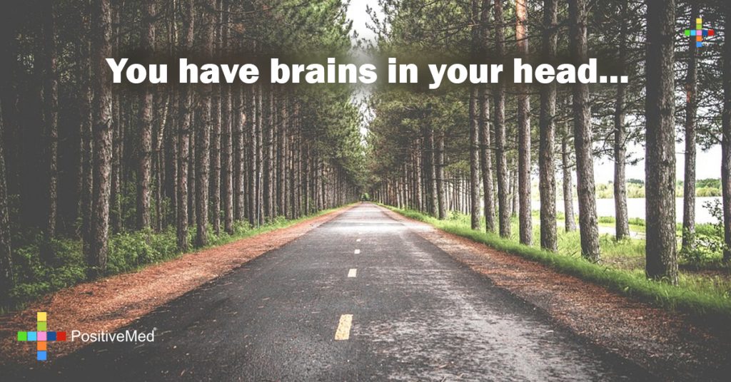 You have brains in your head...