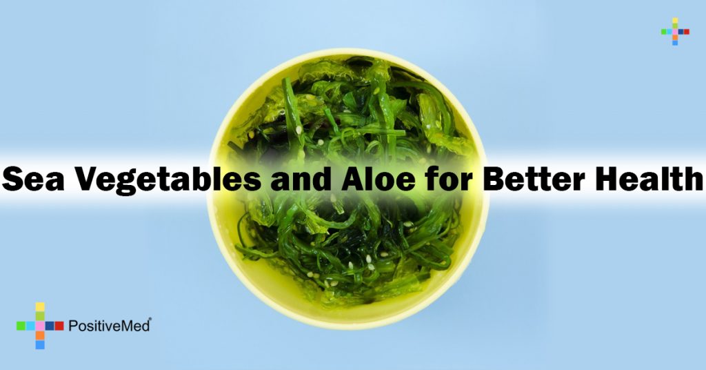 Sea Vegetables and Aloe for Better Health