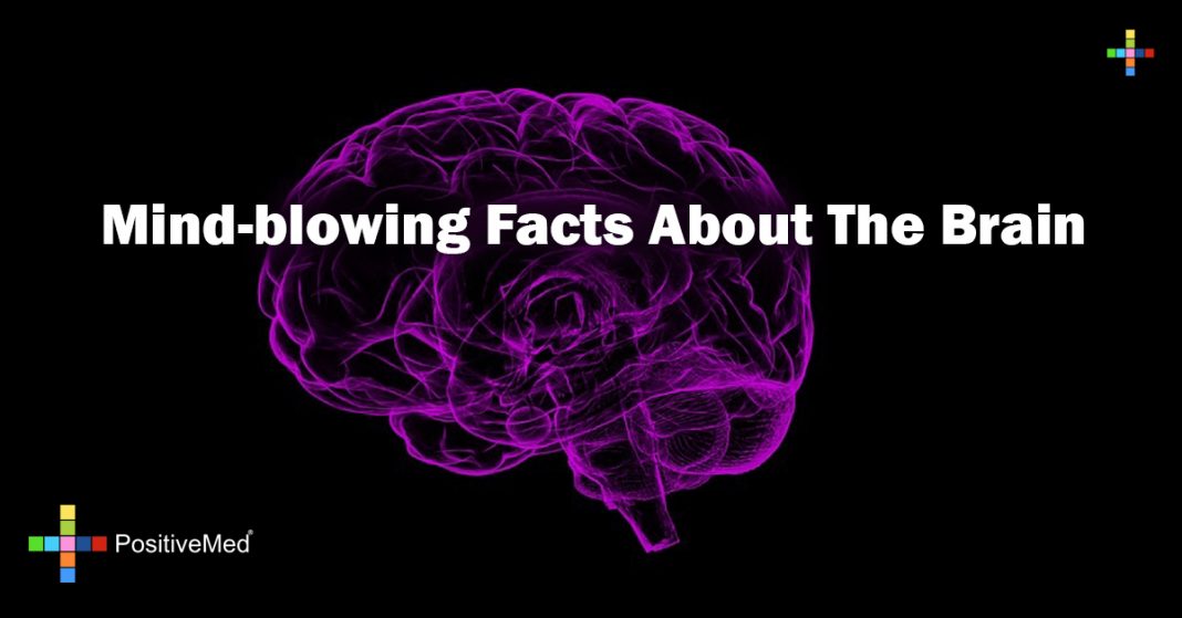 Mind-blowing Facts About The Brain - PositiveMed