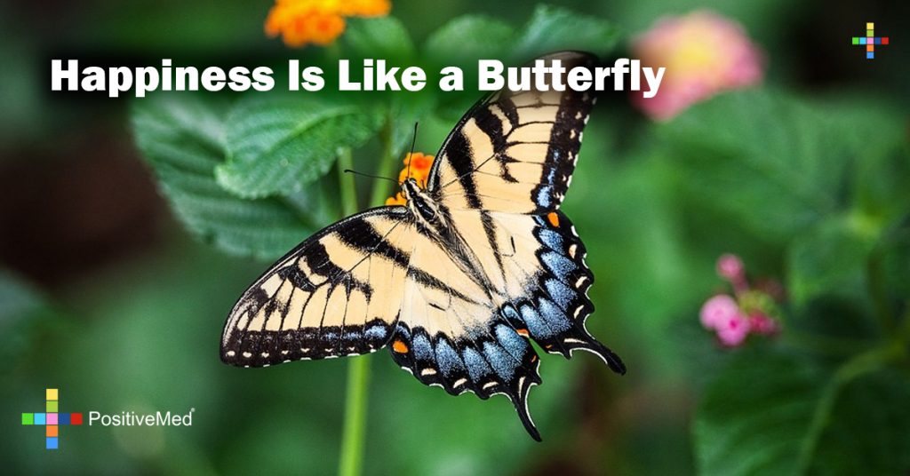 Happiness is like a butterfly