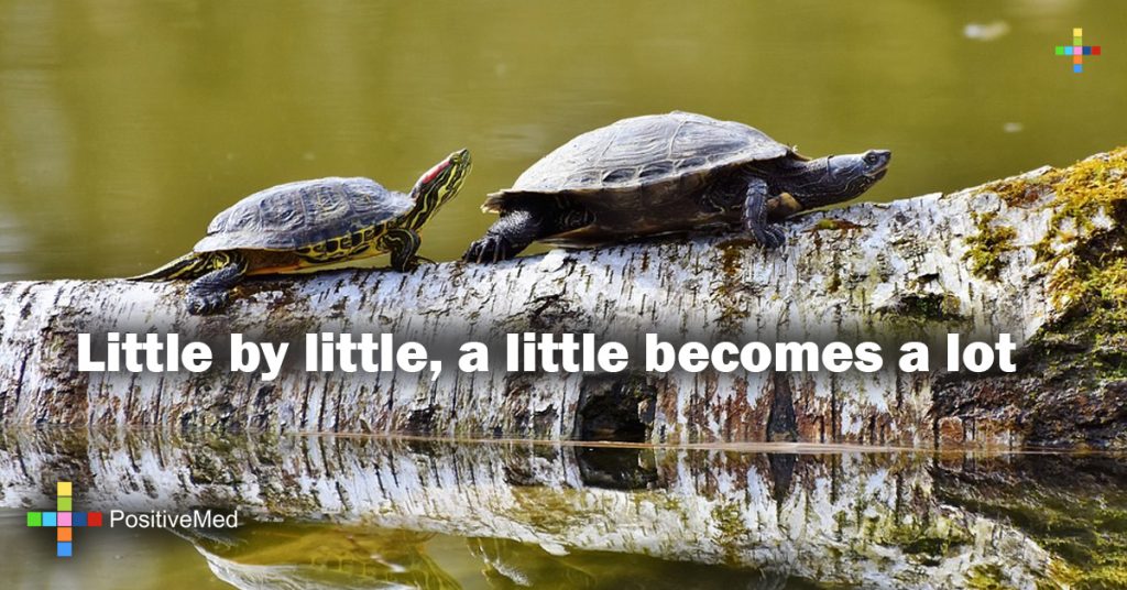 Little by little, a little becomes a lot