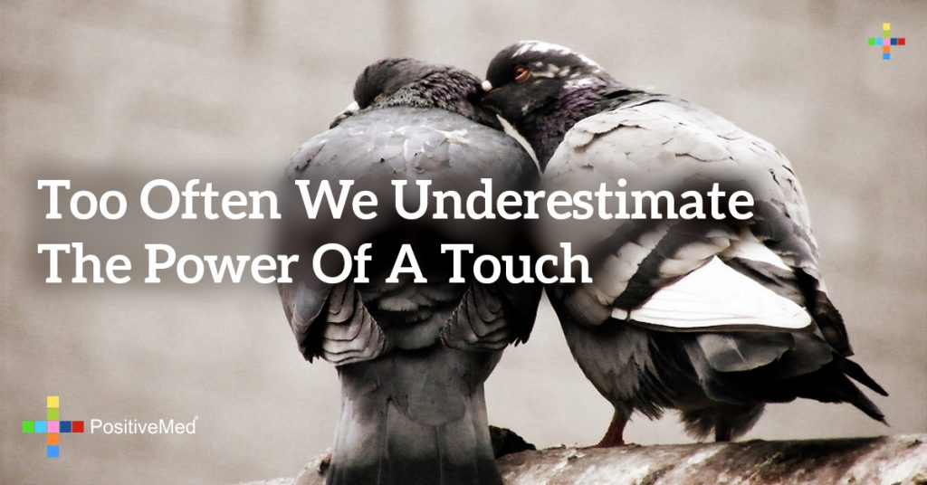 Too often we underestimate the power of a touch