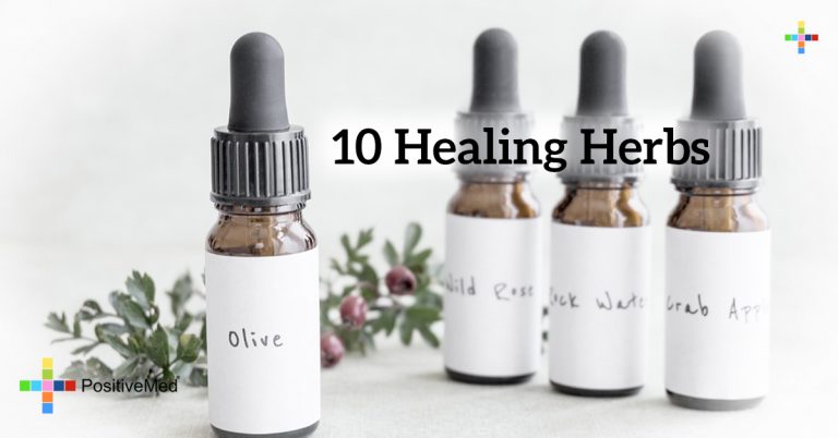10 Healing Herbs 10 Healing Herbs