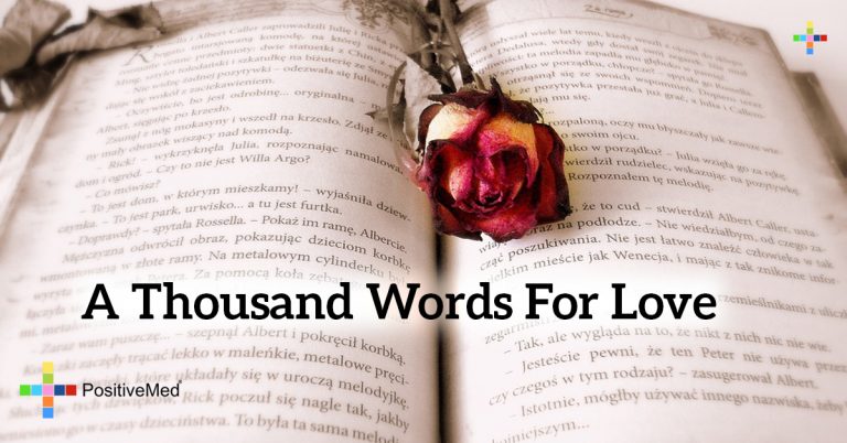 A thousand words for LOVE