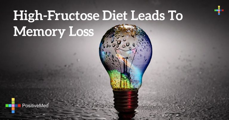 High-Fructose Diet Leads To Memory Loss