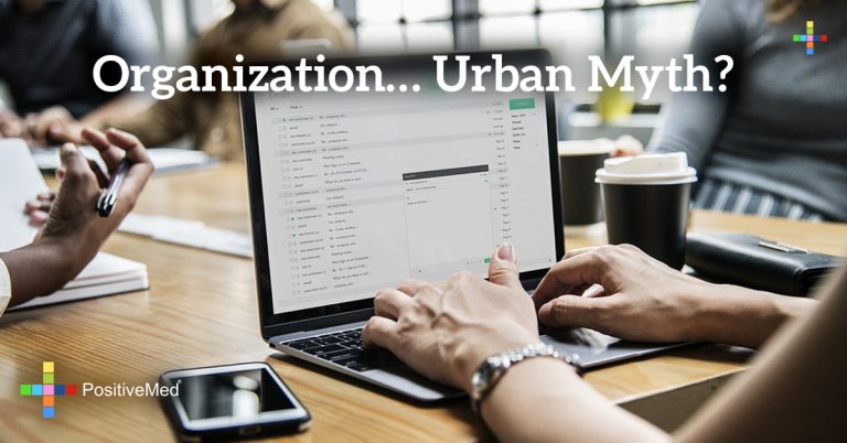 Organization… Urban Myth? Organization… Urban Myth?