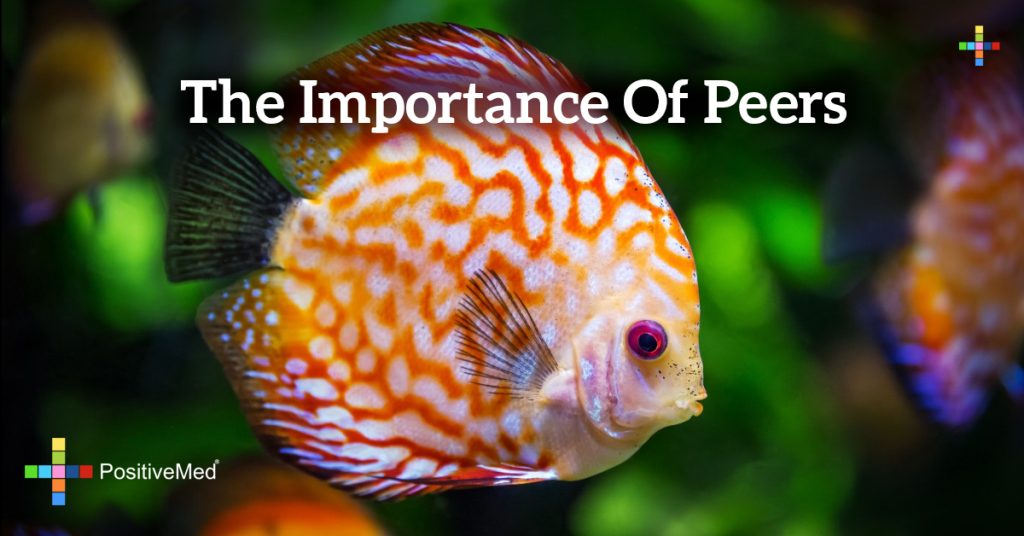 THE IMPORTANCE OF PEERS