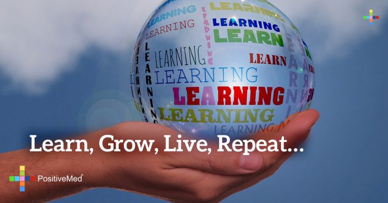 Learn, Grow, Live, Repeat… Learn, Grow, Live, Repeat…