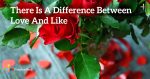 There-Is-A-Difference-Between-Love-And-Like