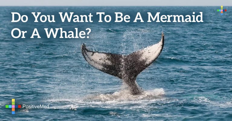 Do you want to be a mermaid or a whale? Do you want to be a mermaid or a whale?