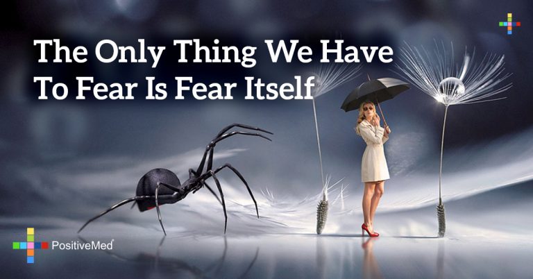 The only thing we have to fear is FEAR ITSELF
