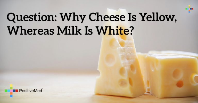 Question: Why Cheese is yellow, whereas milk is white?