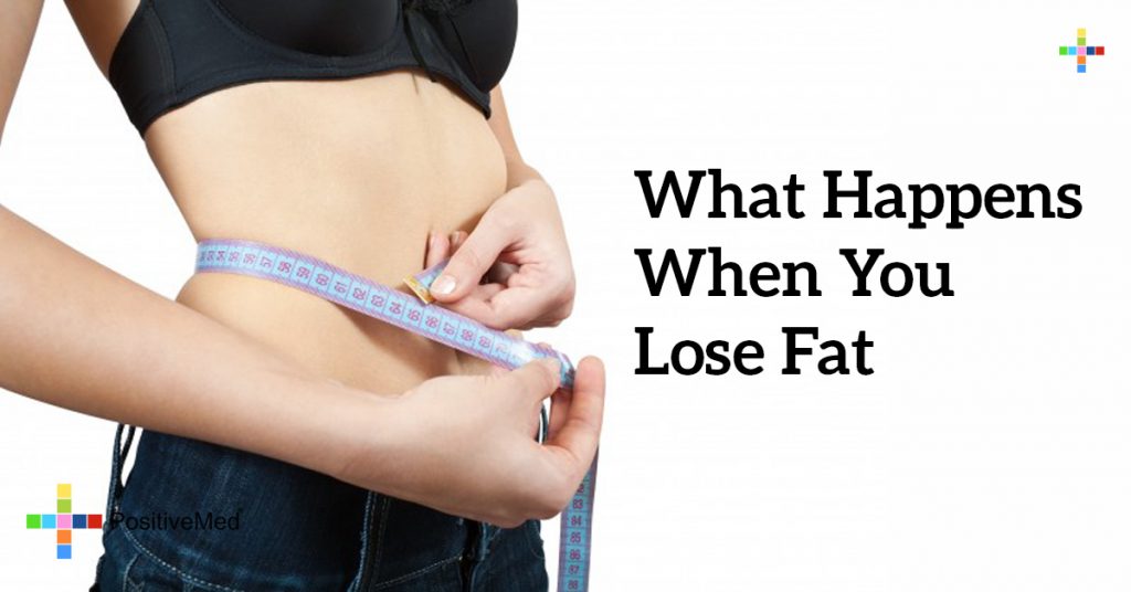 What Happens When You Lose Fat