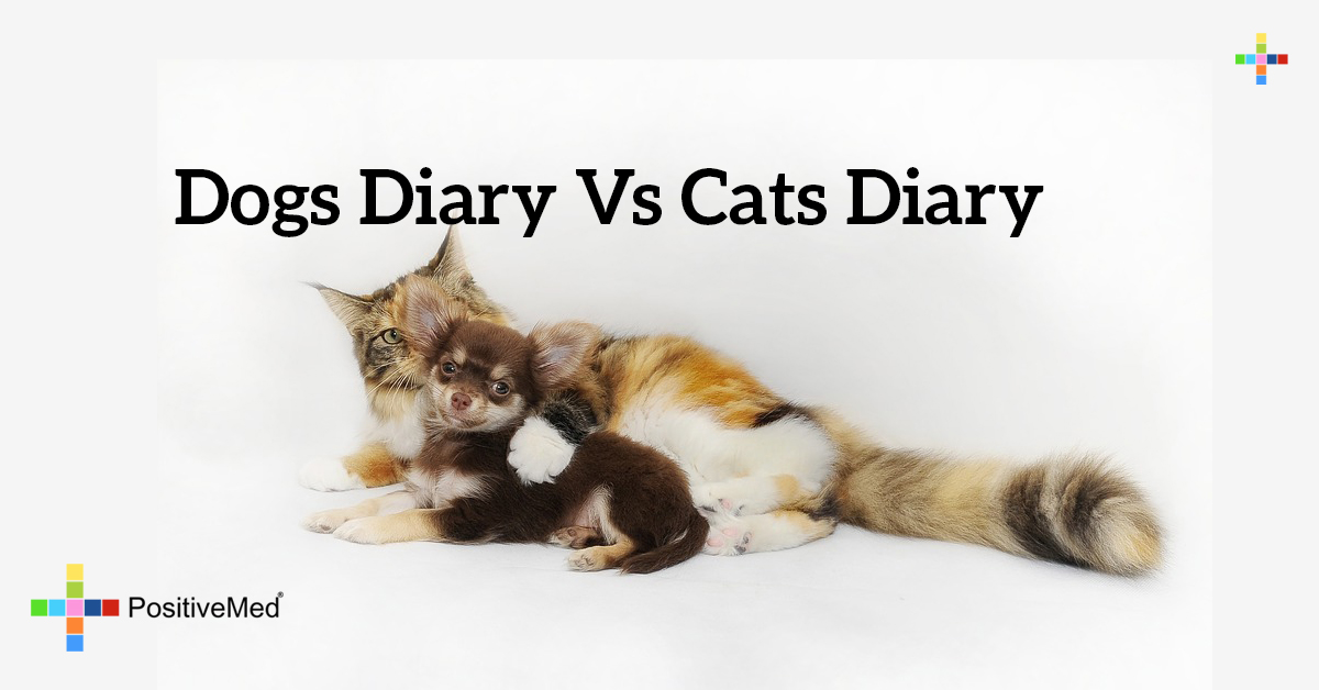 Dogs Diary vs Cats Diary PositiveMed