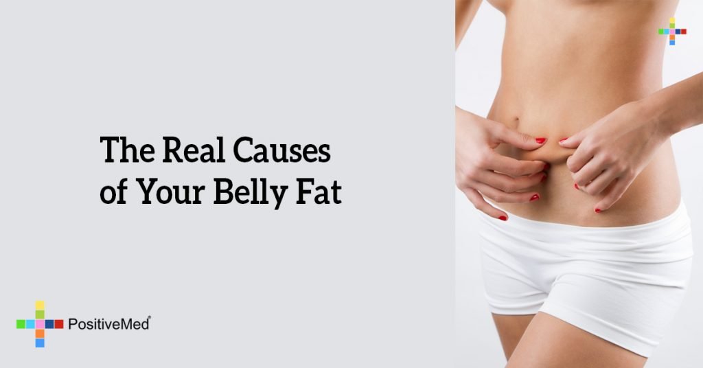 The Real Causes of Your Belly Fat