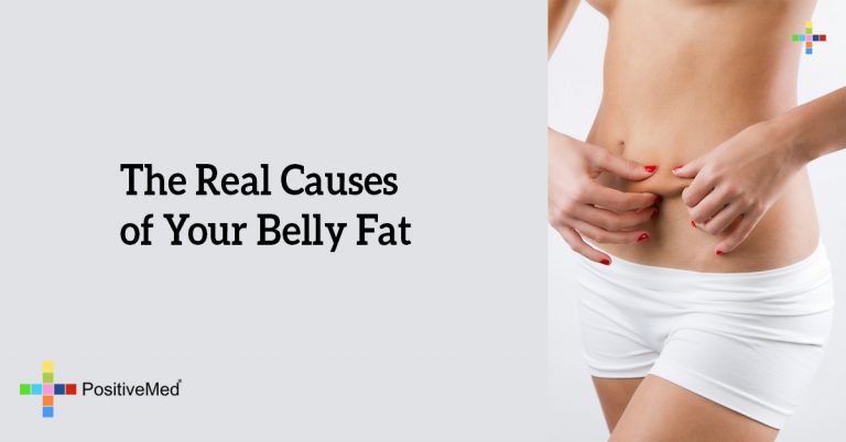 The Real Causes of Your Belly Fat The Real Causes of Your Belly Fat