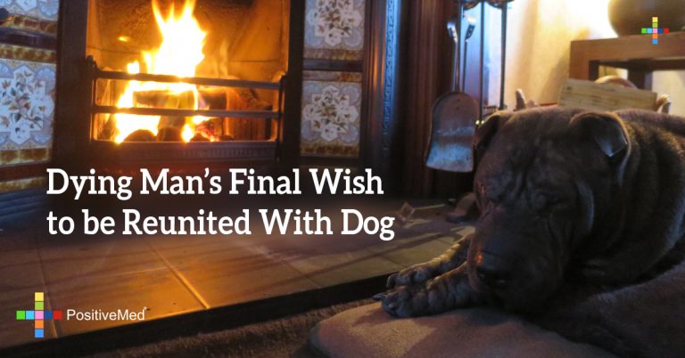 Dying Man’s Final Wish to be Reunited With Dog